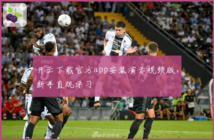 开云下载官方app安装演示视频版，新手直观学习