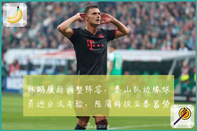 韩鹏履新调整阵容，泰山队边缘球员迎分流考验，陈蒲转投亚泰蓄势再发