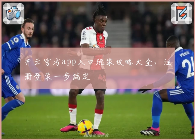 开云官方app入口玩家攻略大全，注册登录一步搞定