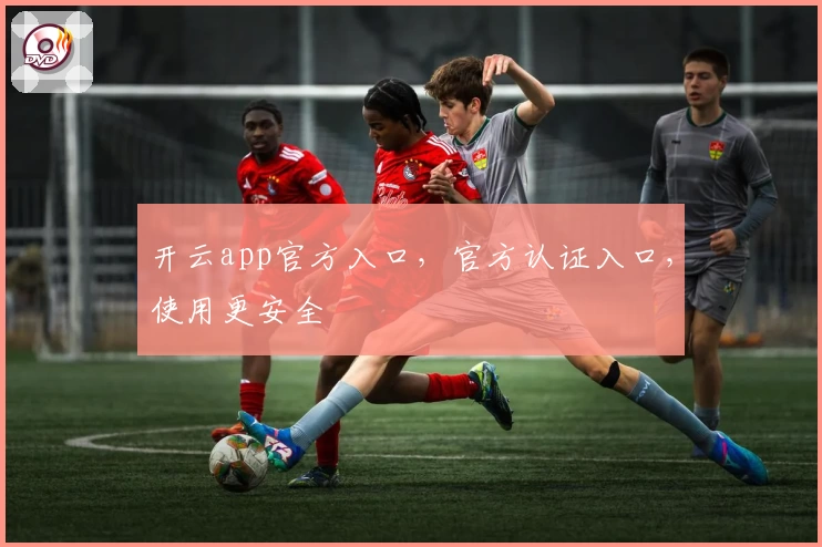 开云app官方入口，官方认证入口，使用更安全